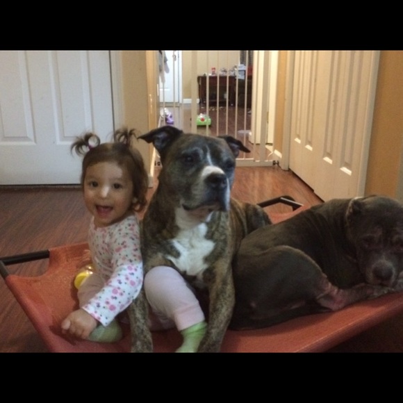 Meet your Posher, Kate - Picture 6 of 10